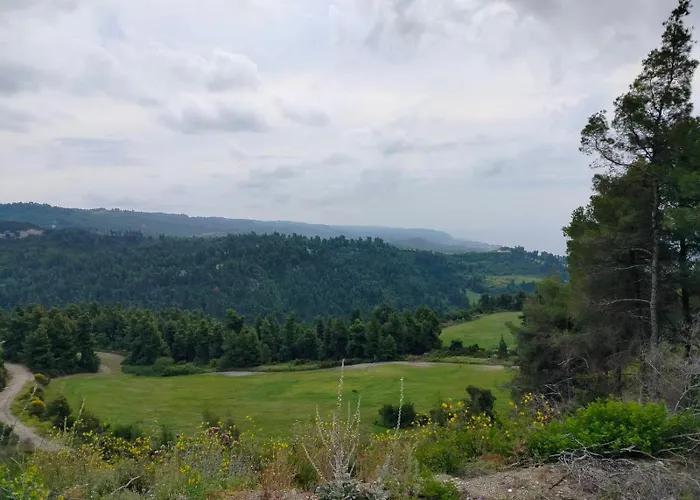 Dionysus View