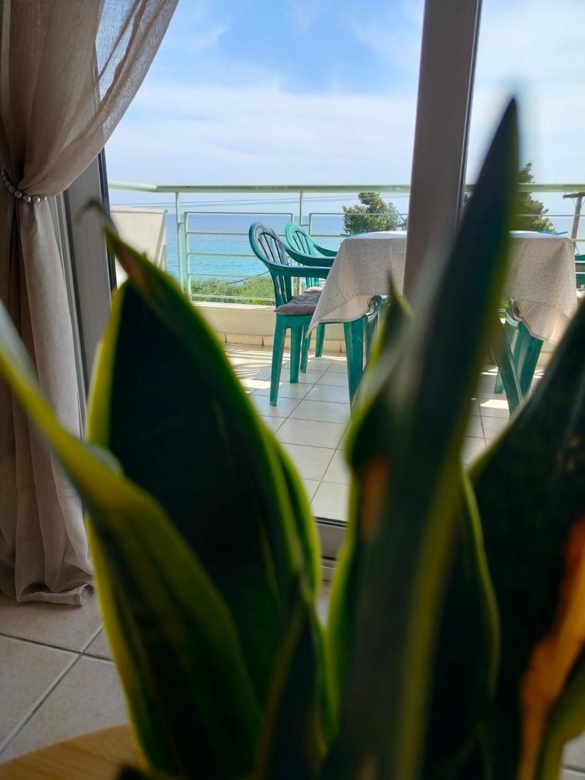 Dionysus View *