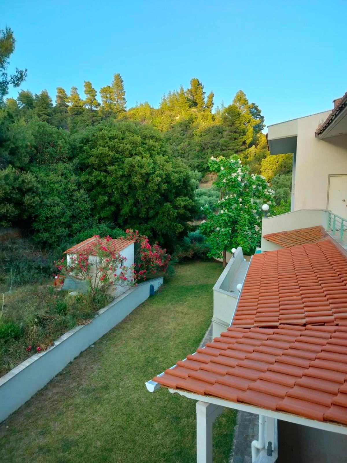 Dionysus View Apartment *