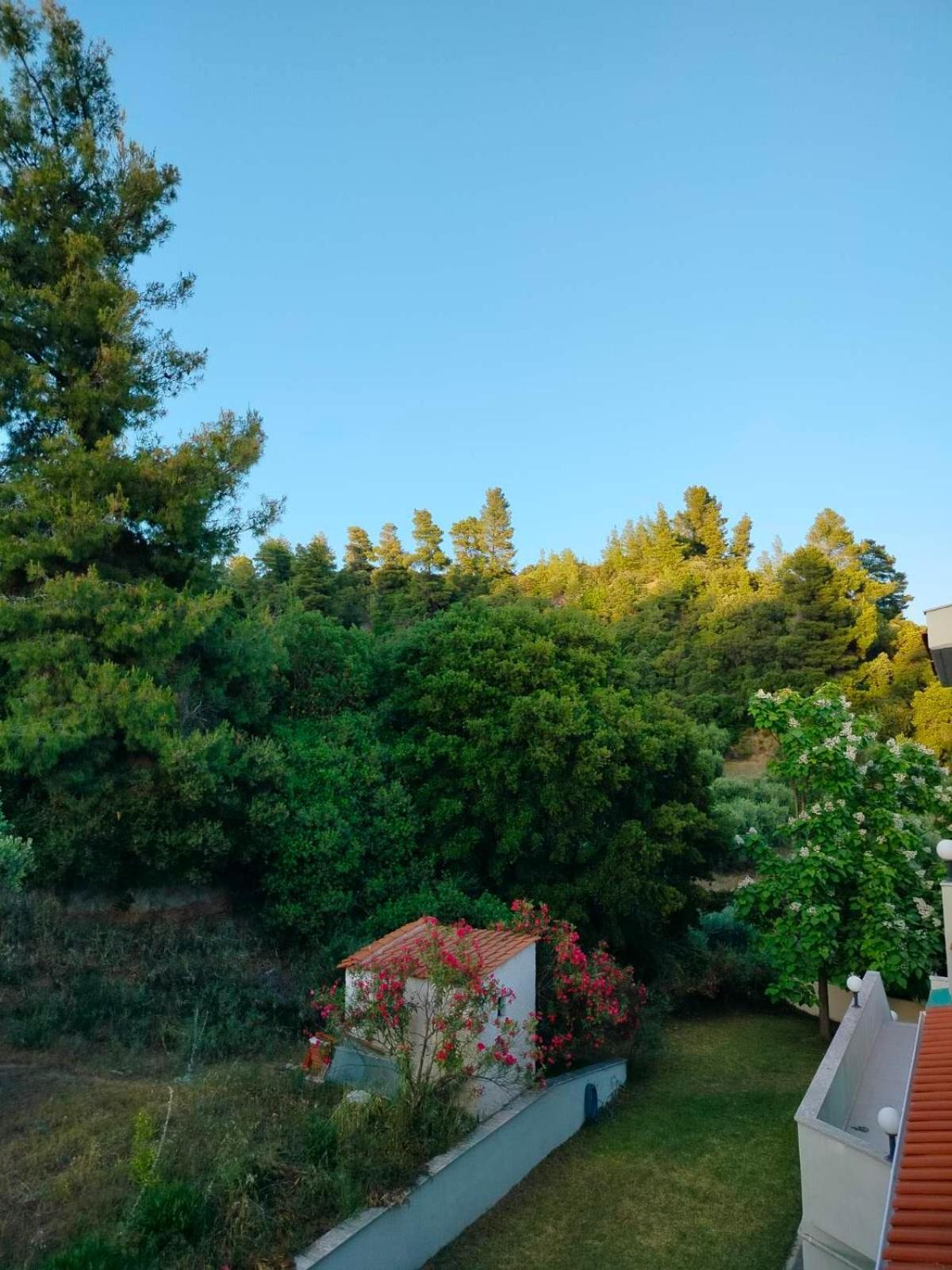 Dionysus View