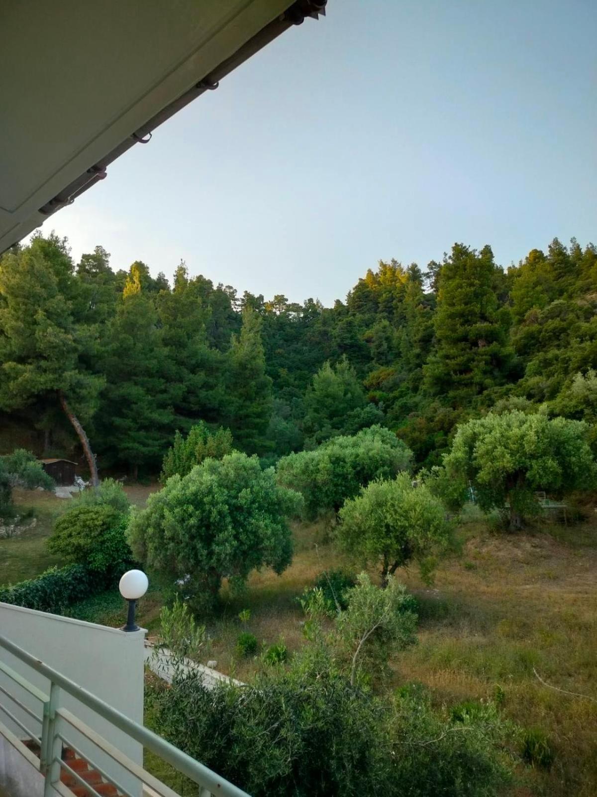 Dionysus View Apartment