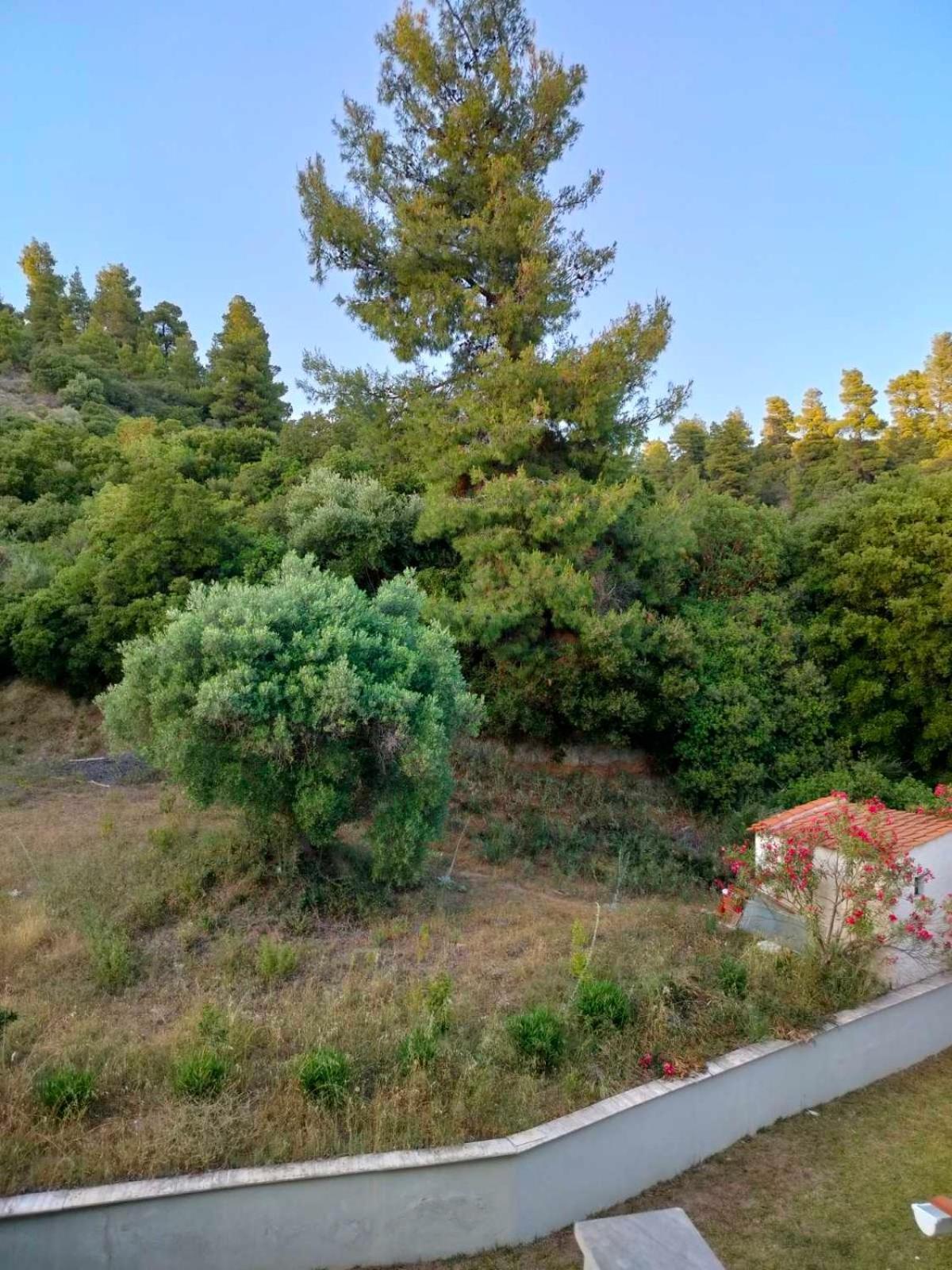 Apartment Dionysus View