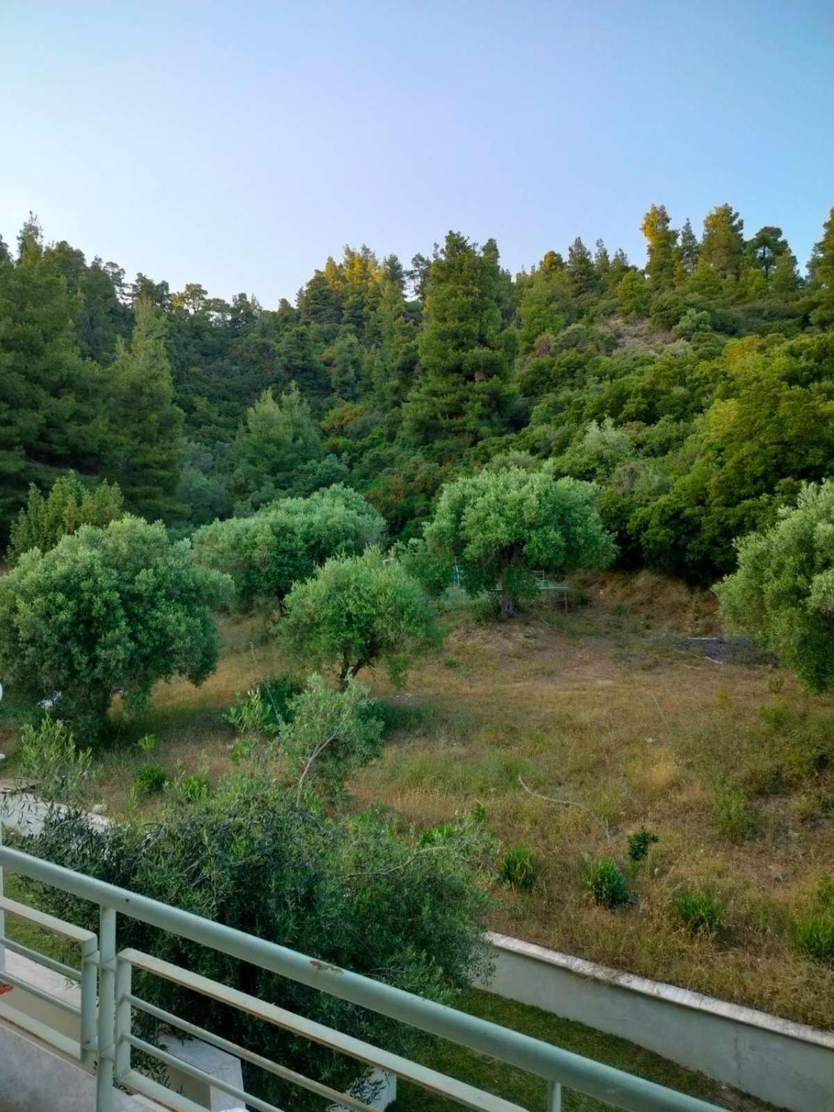 Dionysus View *